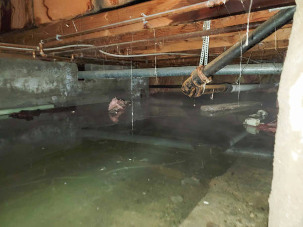 Best Sewage cleanup and water damage restoration  in Gnadenhutten, OH
