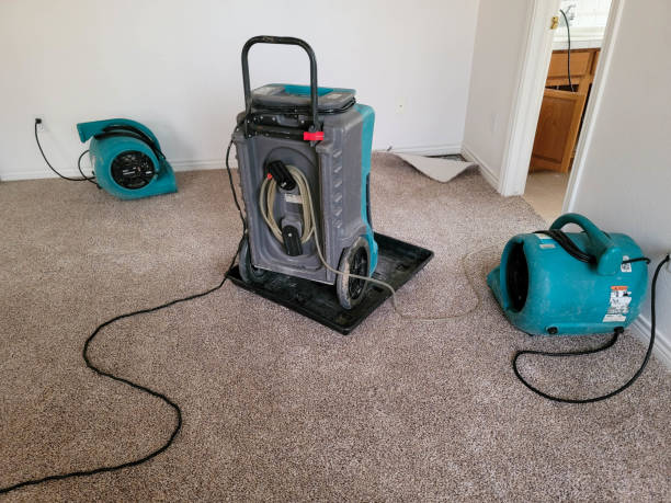 Best Local water damage restoration  in Gnadenhutten, OH