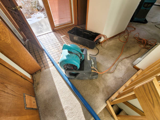 Best Mold removal after water damage  in Gnadenhutten, OH