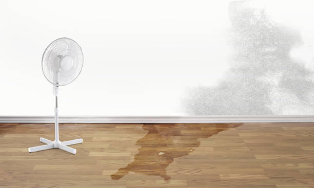 Best 24/7 water damage repair  in Gnadenhutten, OH