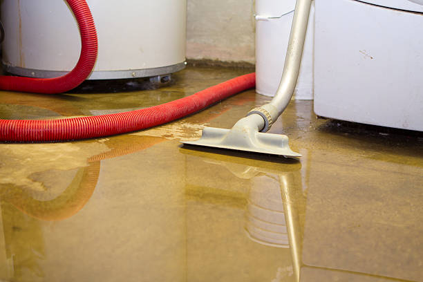 Best Flooded house restoration  in Gnadenhutten, OH