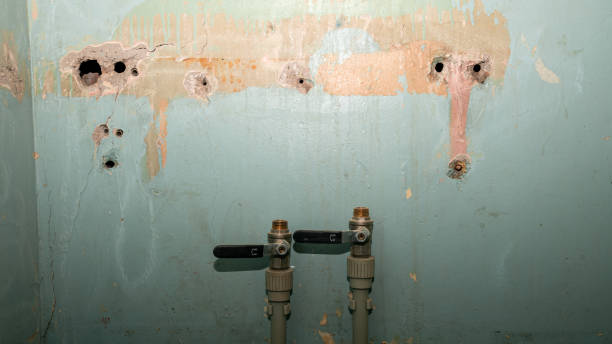 Best Basement water damage restoration  in Gnadenhutten, OH