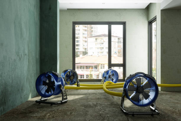 Best Water damage restoration specialists  in Gnadenhutten, OH
