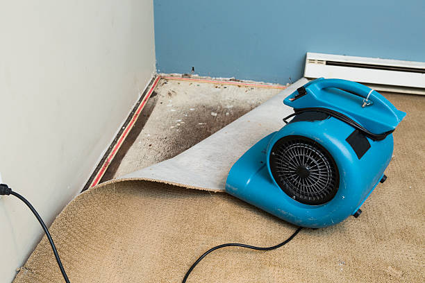 Best Professional water damage repair  in Gnadenhutten, OH